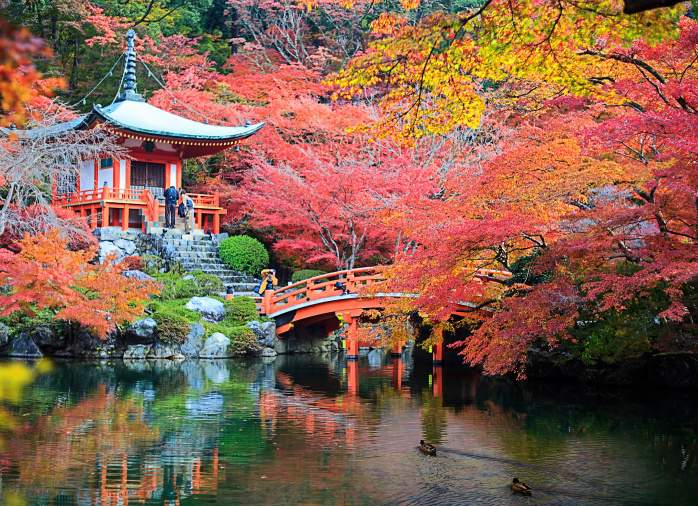 Colonie de vacances itinérantes japon